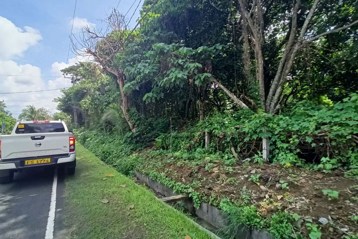 Land for Sale in Calumpang Cerca, Indang, Cavite – photo 6
