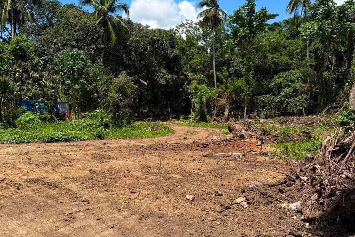 Land for Sale in Calumpang Cerca, Indang, Cavite – photo 4