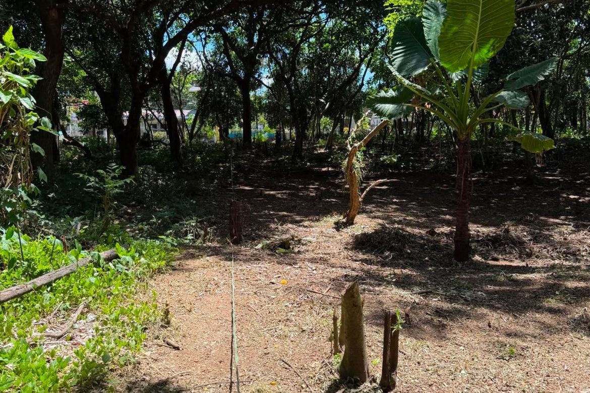 Land for Sale in Calumpang Cerca, Indang, Cavite – photo 8