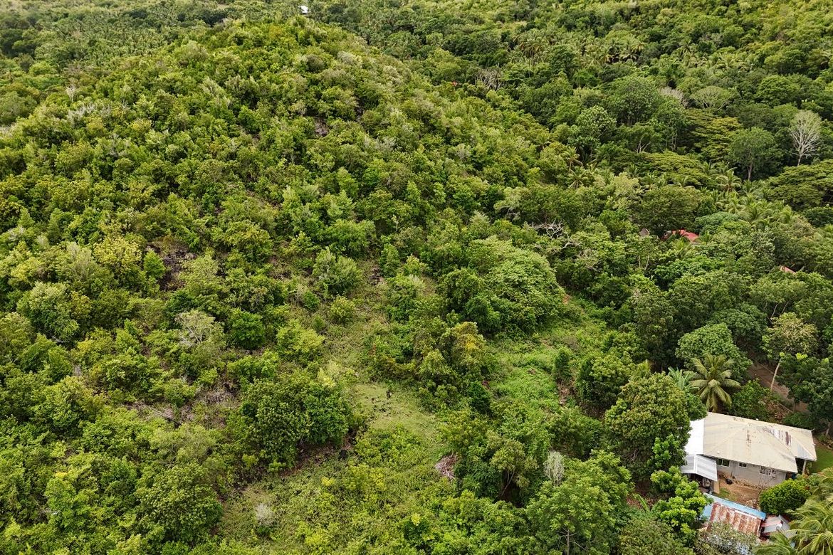 Land for Sale in Calunasan, Larena, Siquijor – photo 3