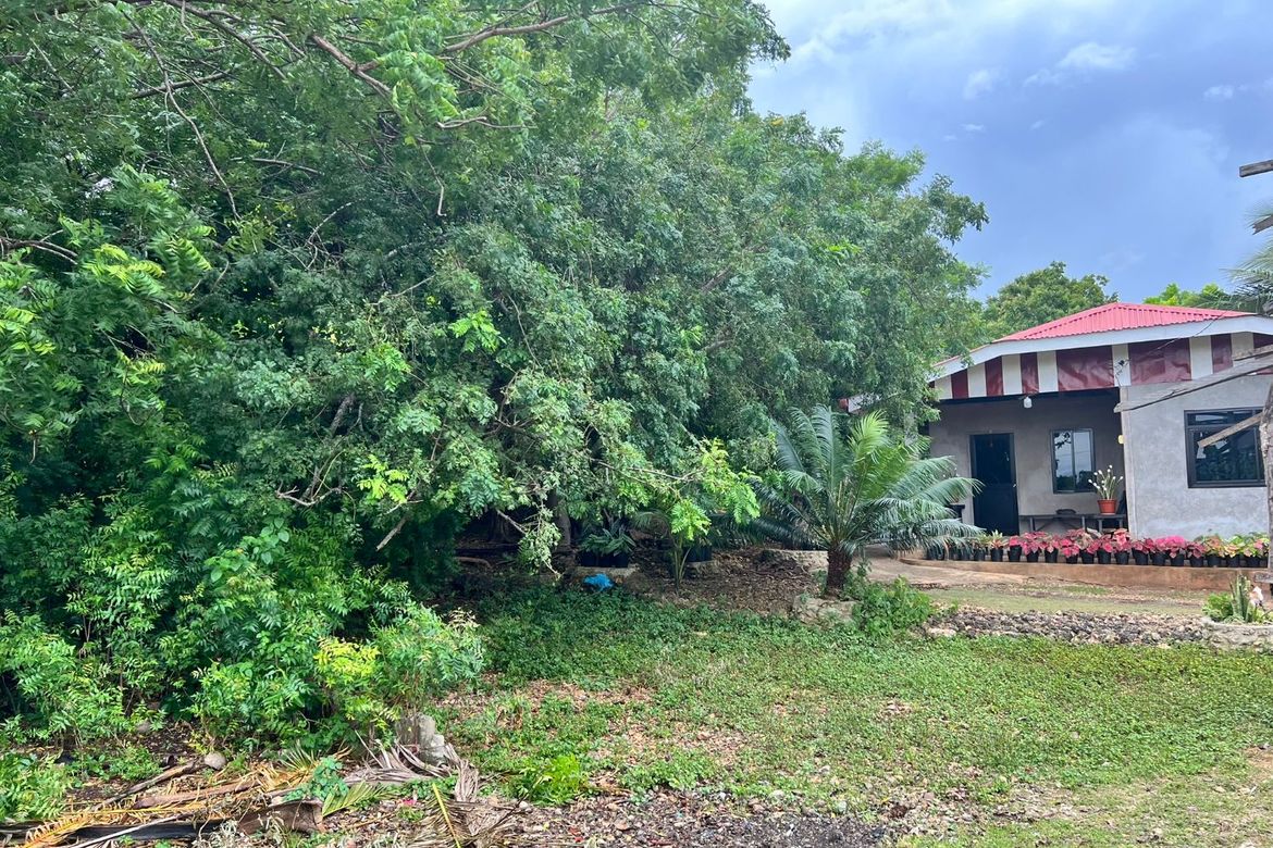 Land for Sale in Calunasan, Larena, Siquijor – photo 4