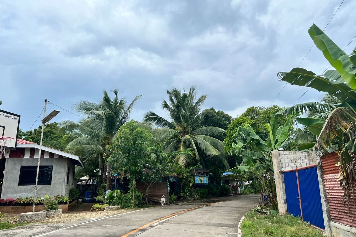 Land for Sale in Calunasan, Larena, Siquijor – photo 6