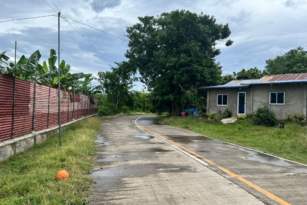 Land for Sale in Calunasan, Larena, Siquijor – photo 8