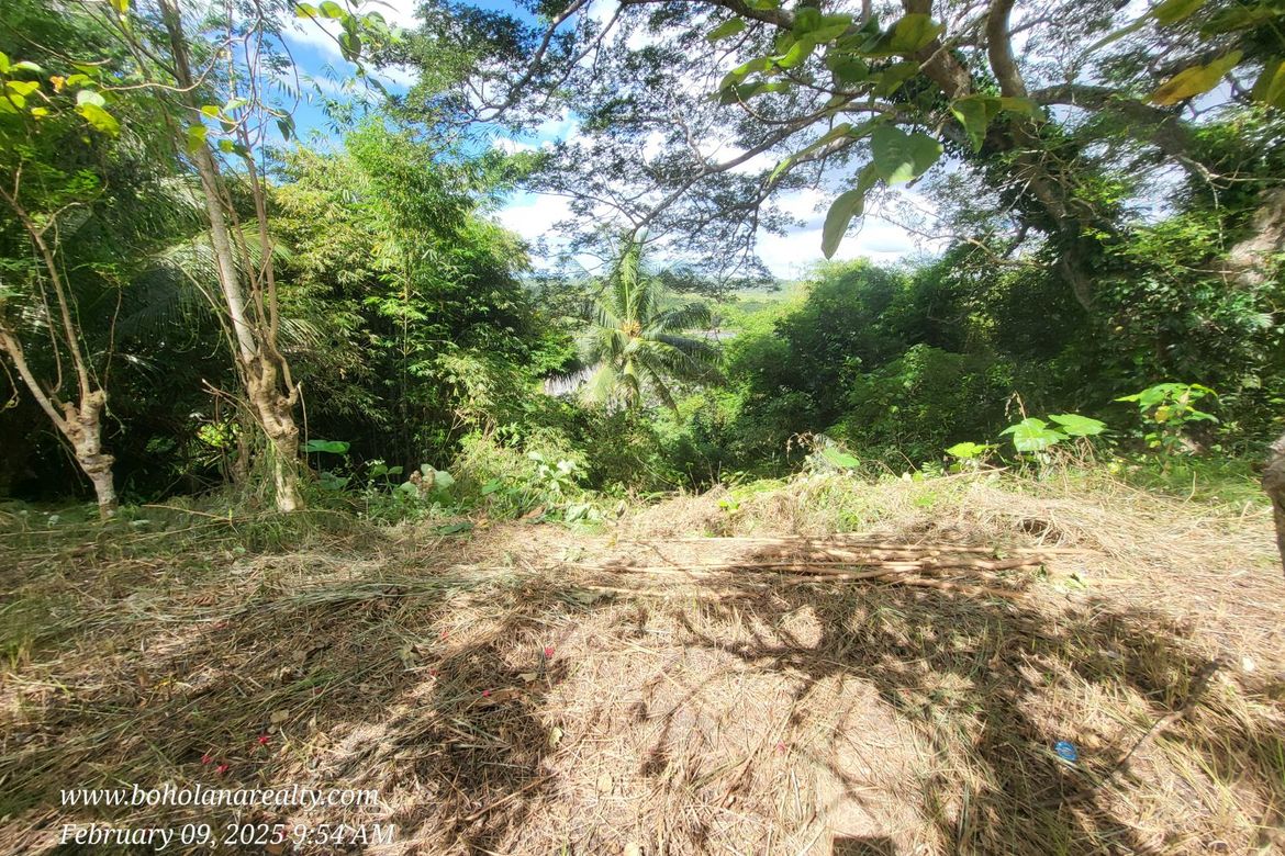 Land for Sale in Calvario, Loay, Bohol – photo 3