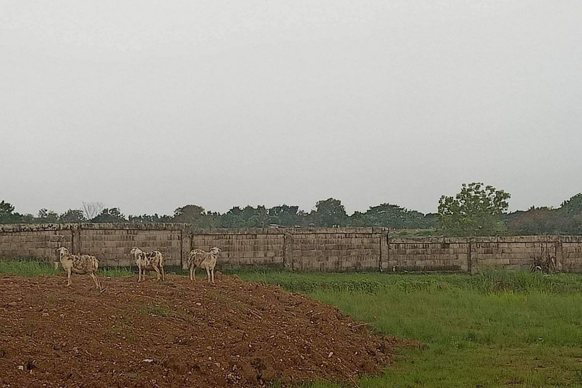 Land for Sale in Camachilihan, Bustos, Bulacan – photo 3