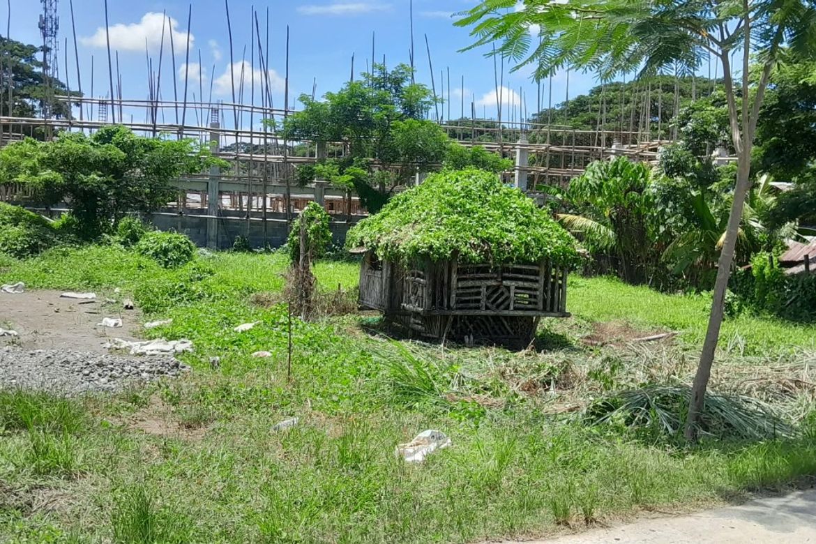 Land for Sale in Camambugan, Santa Barbara, Iloilo