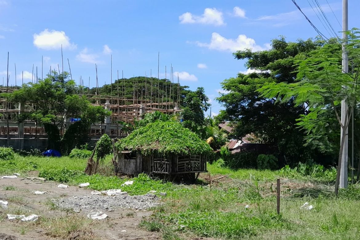 Land for Sale in Camambugan, Santa Barbara, Iloilo – photo 2