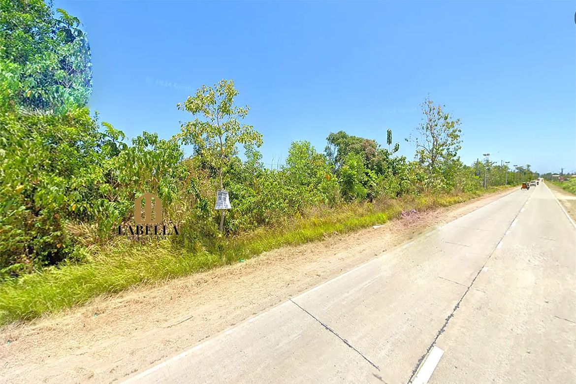 Land for Sale in Camambugan, Ubay, Bohol