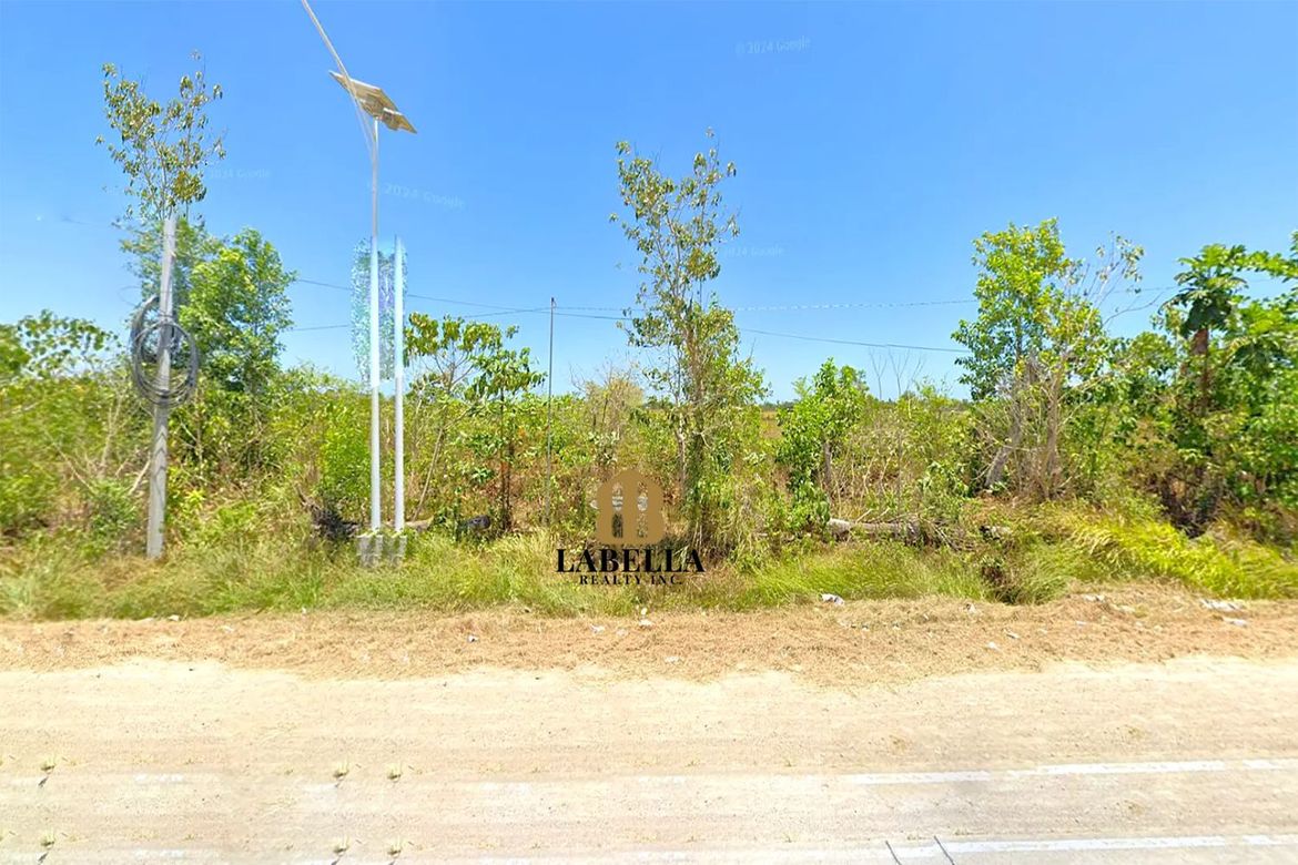 Land for Sale in Camambugan, Ubay, Bohol – photo 3