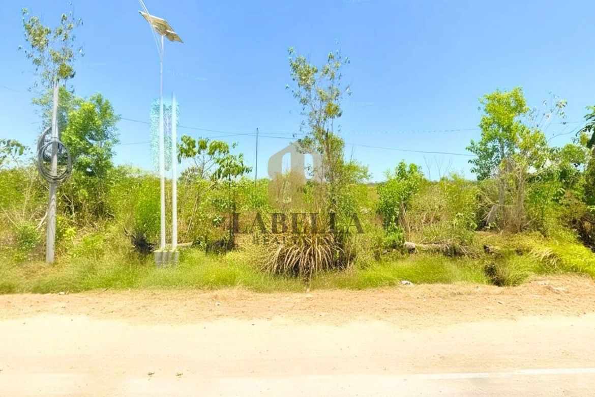 Land for Sale in Camambugan, Ubay, Bohol