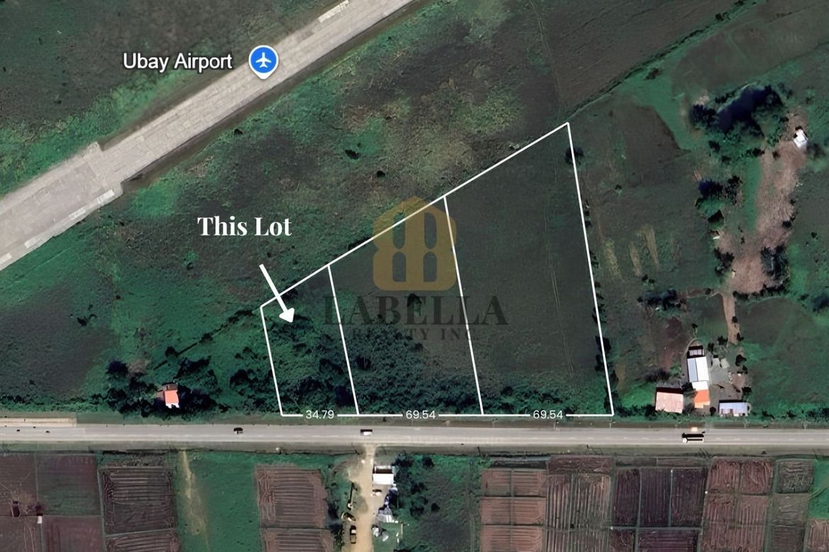 Land for Sale in Camambugan, Ubay, Bohol – photo 3