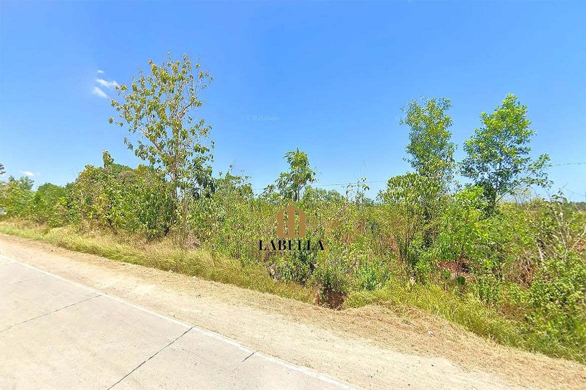 Land for Sale in Camambugan, Ubay, Bohol