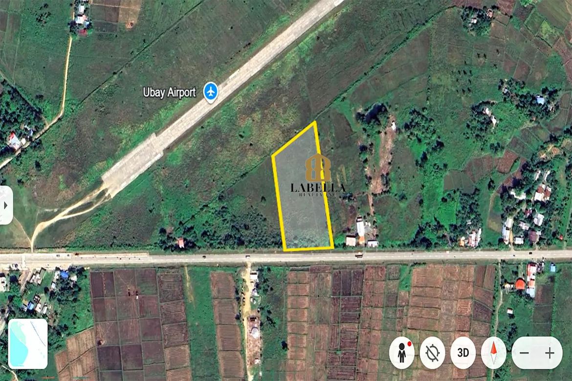 Land for Sale in Camambugan, Ubay, Bohol – photo 3