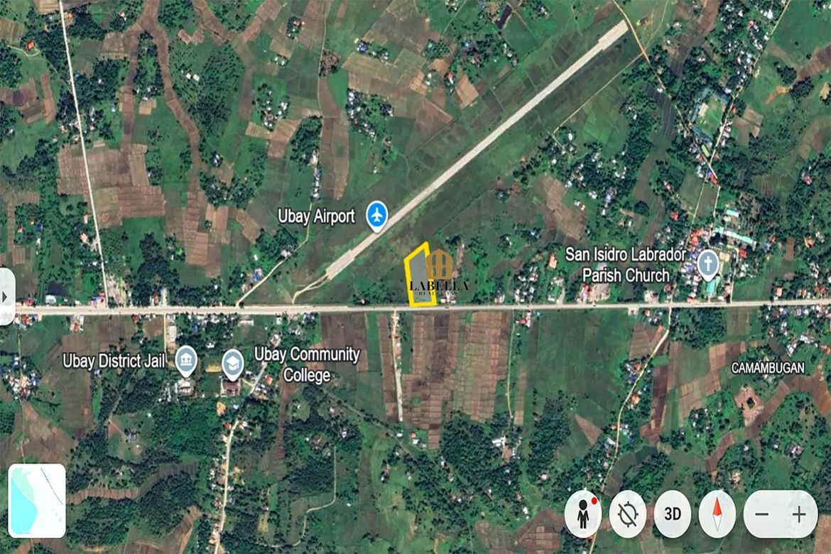 Land for Sale in Camambugan, Ubay, Bohol – photo 4