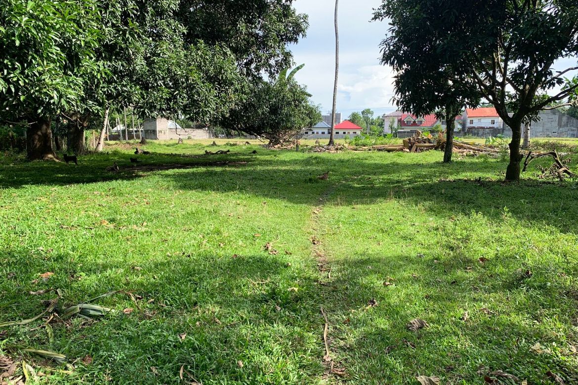 Land for Sale in Camanjac, Dumaguete, Negros Oriental – photo 2