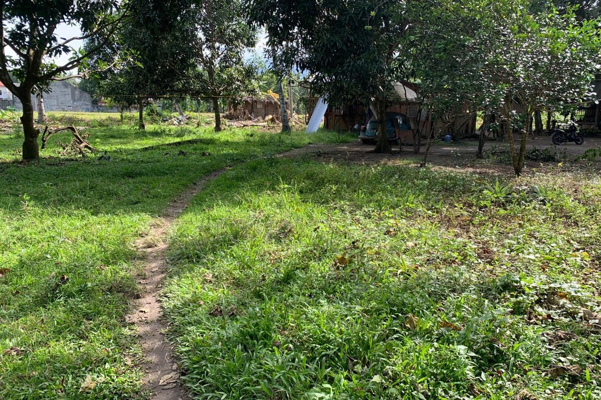 Land for Sale in Camanjac, Dumaguete, Negros Oriental – photo 3