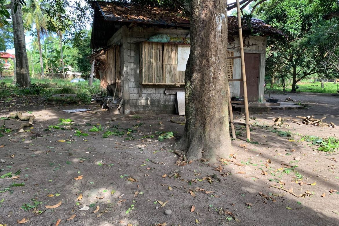 Land for Sale in Camanjac, Dumaguete, Negros Oriental – photo 6