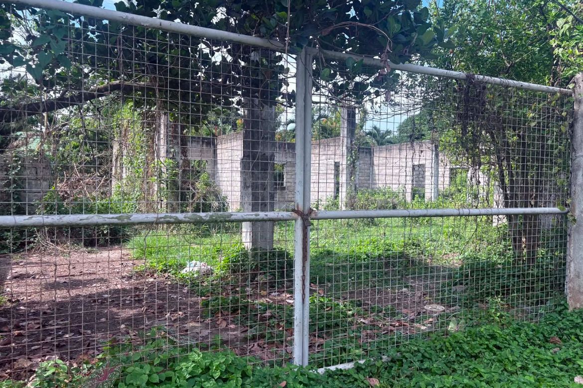 Land for Sale in Camanjac, Dumaguete, Negros Oriental