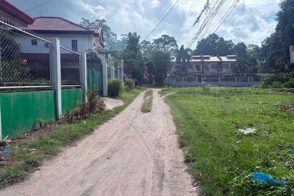 Land for Sale in Camanjac, Dumaguete, Negros Oriental – photo 3