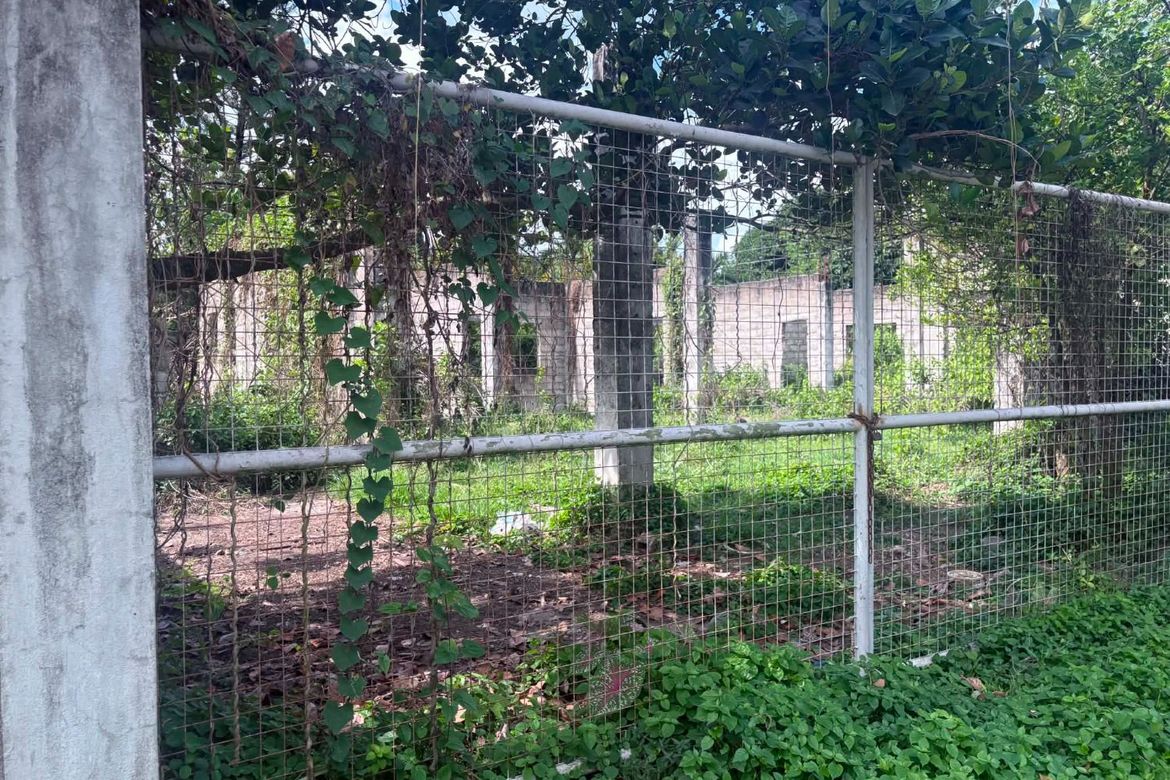 Land for Sale in Camanjac, Dumaguete, Negros Oriental – photo 8