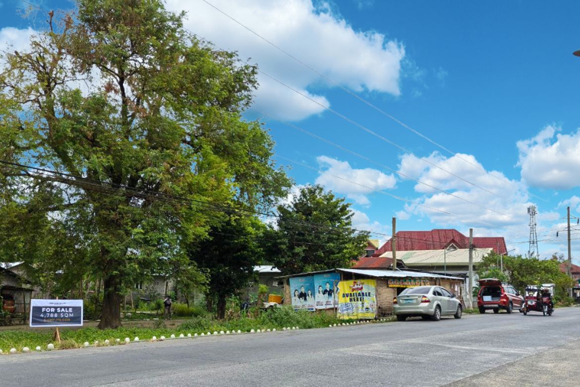 Land for Sale in Camantiles, Urdaneta, Pangasinan – photo 3