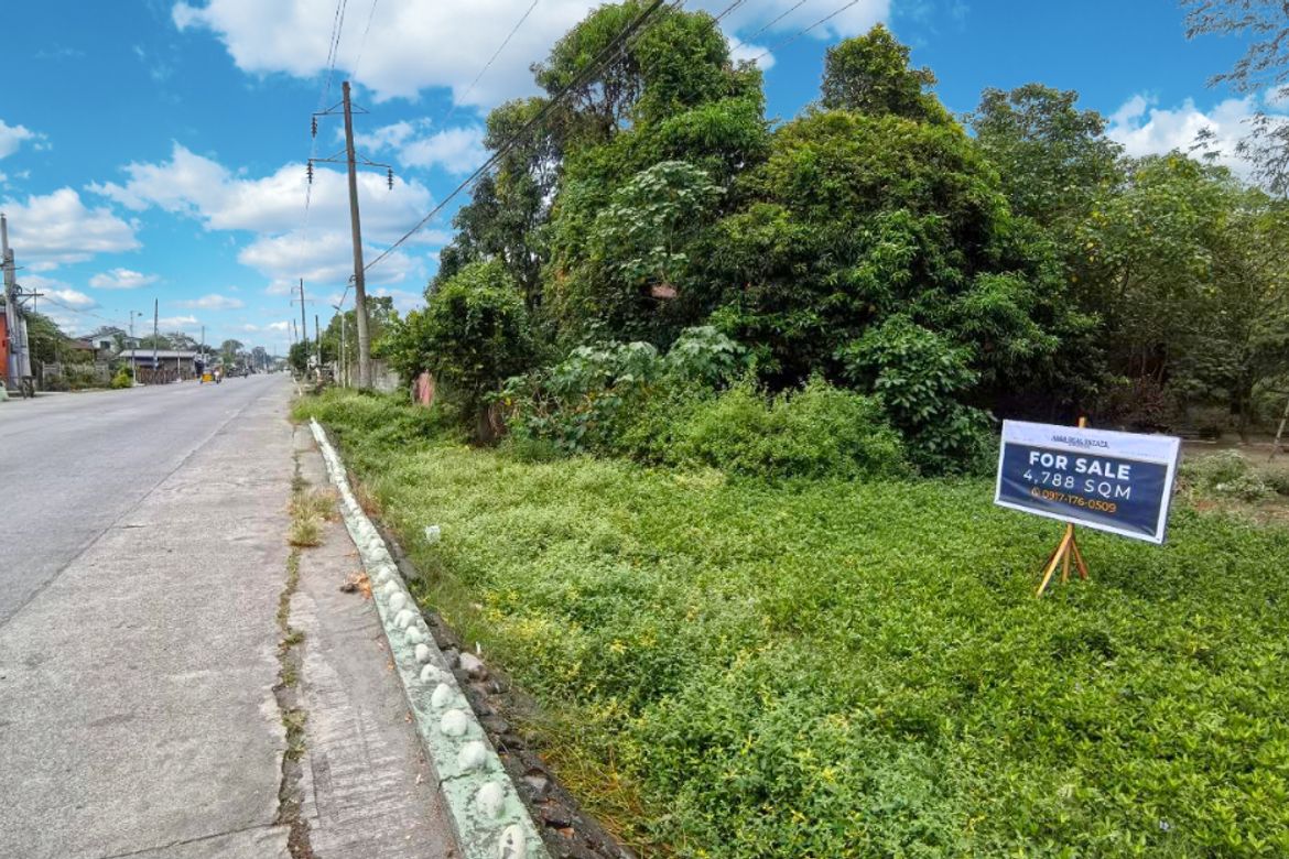 Land for Sale in Camantiles, Urdaneta, Pangasinan – photo 4