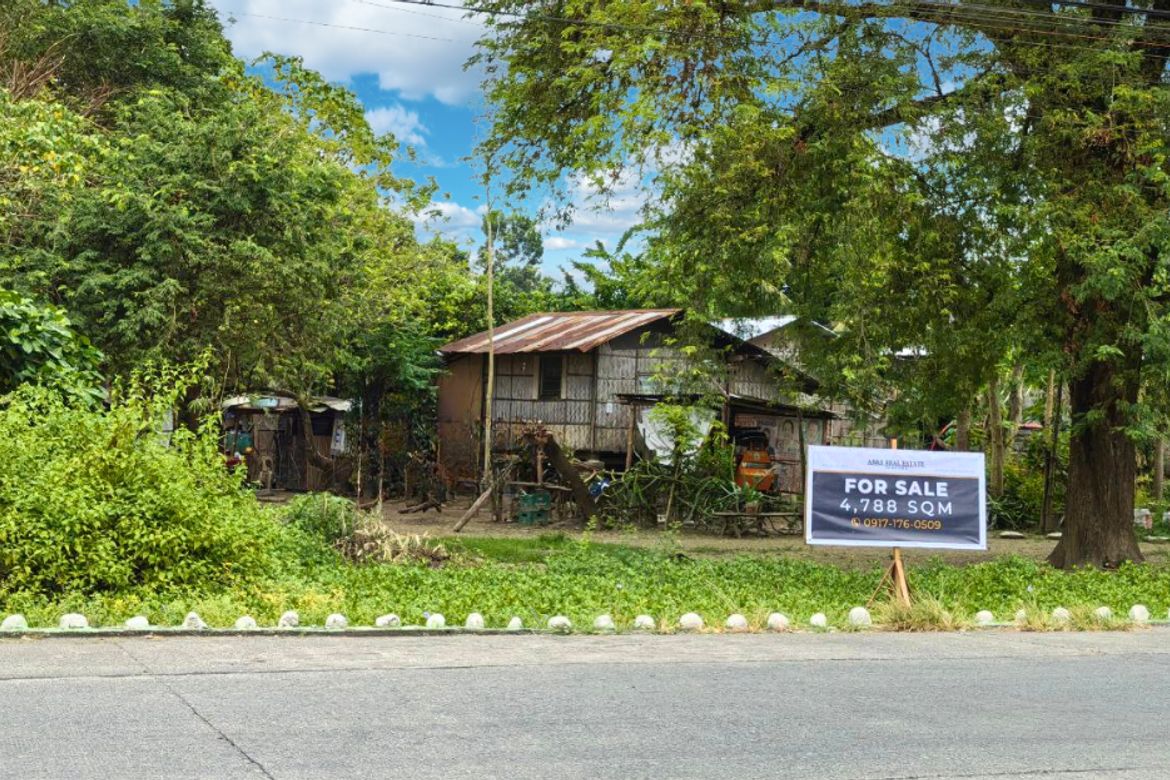 Land for Sale in Camantiles, Urdaneta, Pangasinan – photo 5