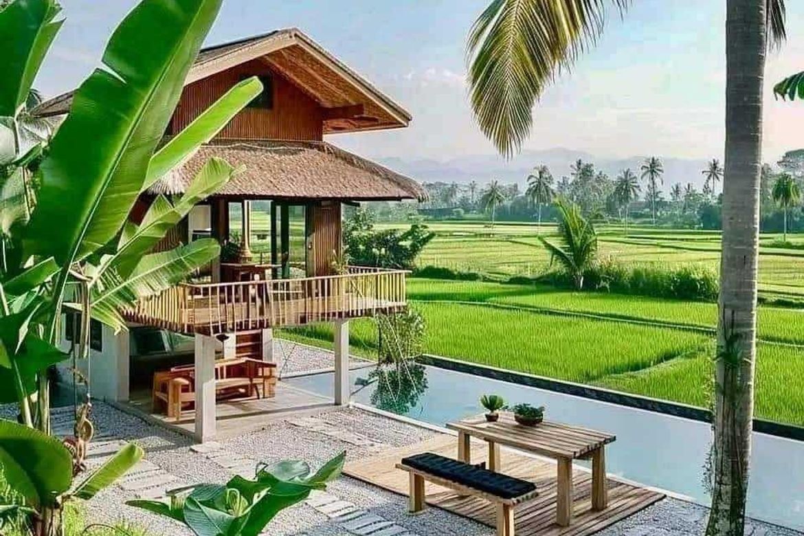 Land for Sale in Camaysa, Tayabas, Quezon