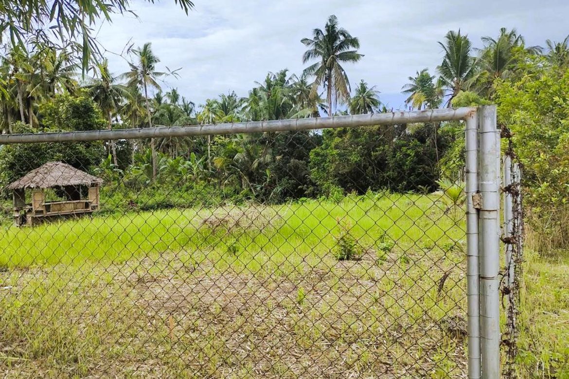 Land for Sale in Cambanac, Baclayon, Bohol – photo 2