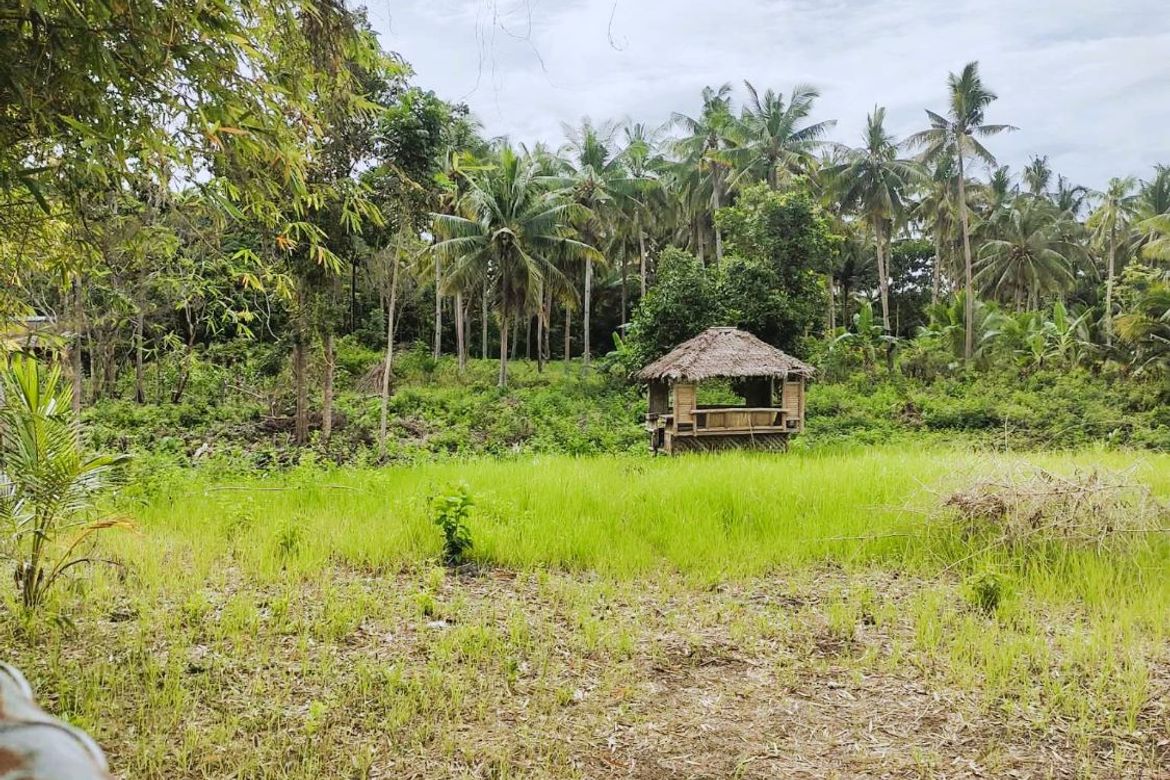 Land for Sale in Cambanac, Baclayon, Bohol – photo 4