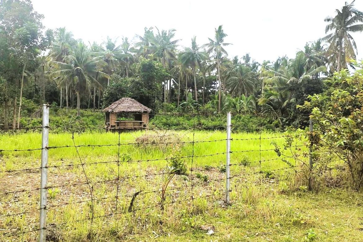 Land for Sale in Cambanac, Baclayon, Bohol – photo 6
