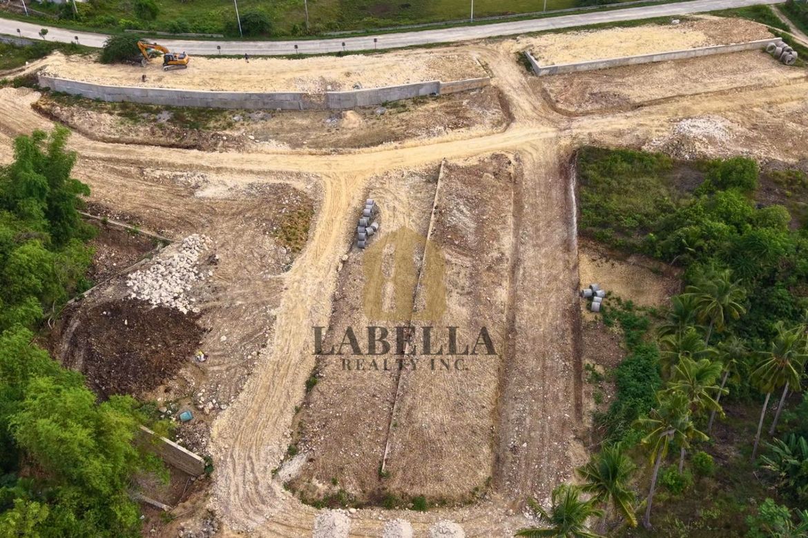 Land for Sale in Cambanac, Baclayon, Bohol – photo 3