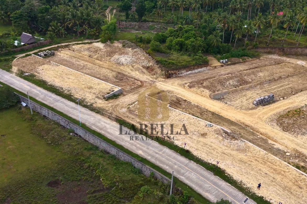 Land for Sale in Cambanac, Baclayon, Bohol – photo 4