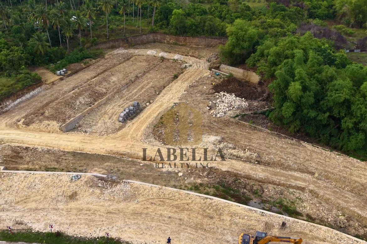 Land for Sale in Cambanac, Baclayon, Bohol – photo 5