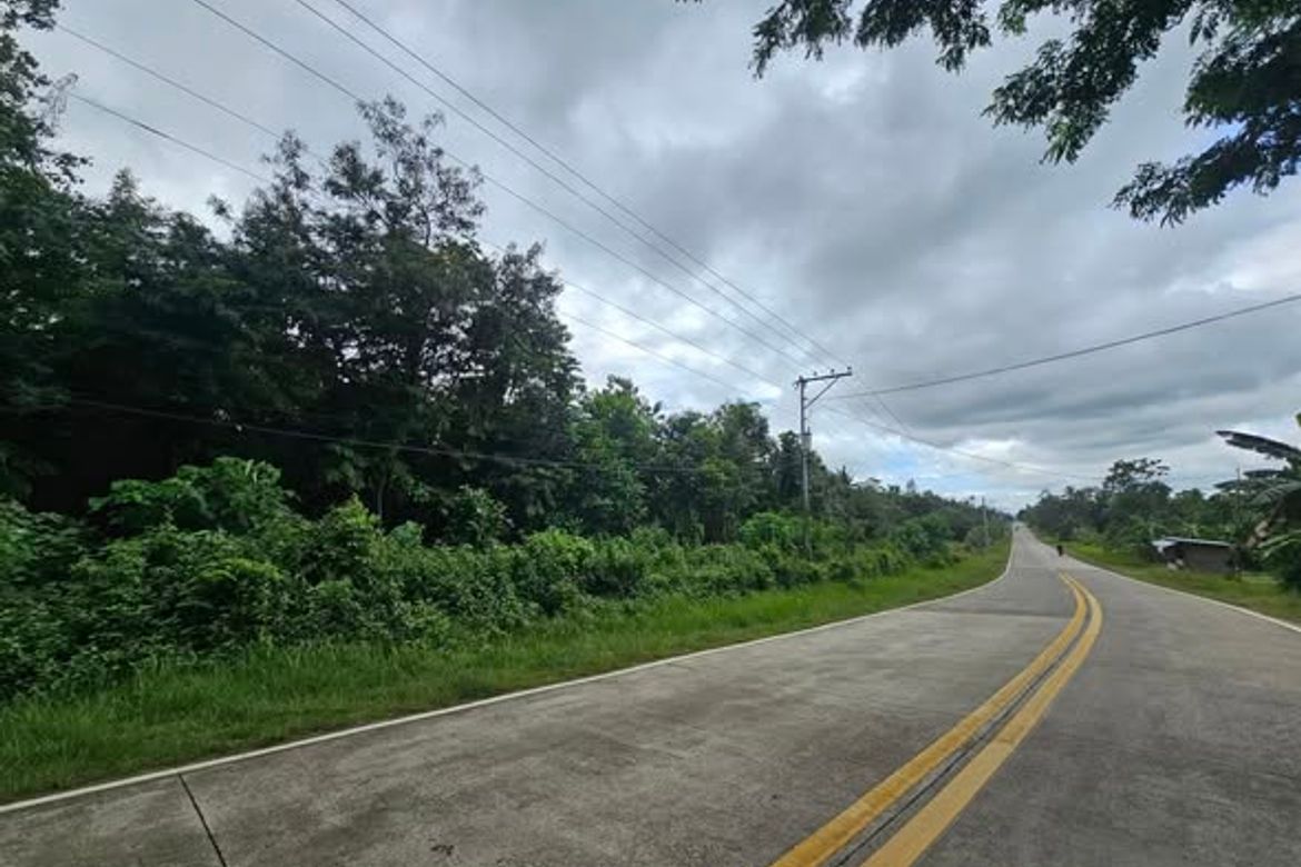 Land for Sale in Cambangay Norte, San Miguel, Bohol