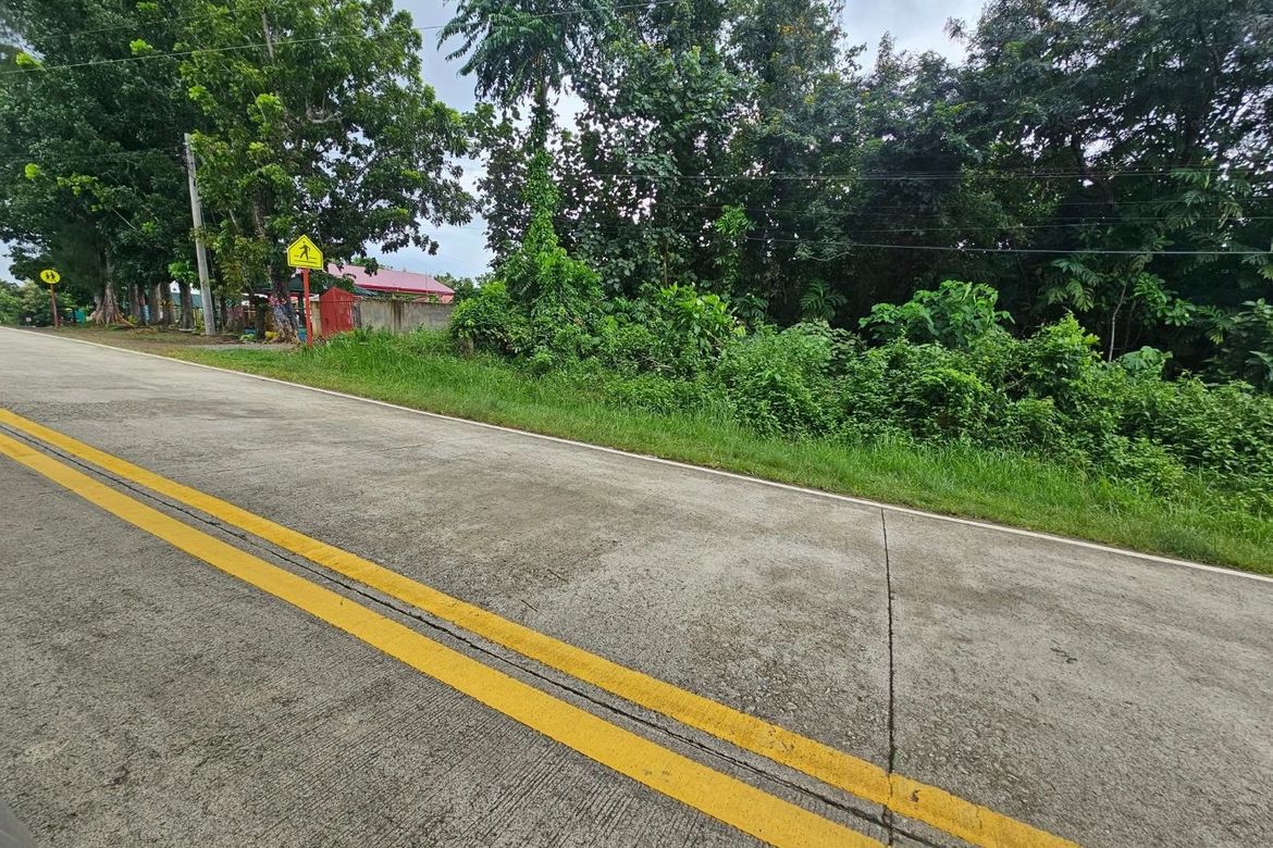 Land for Sale in Cambangay Norte, San Miguel, Bohol – photo 3