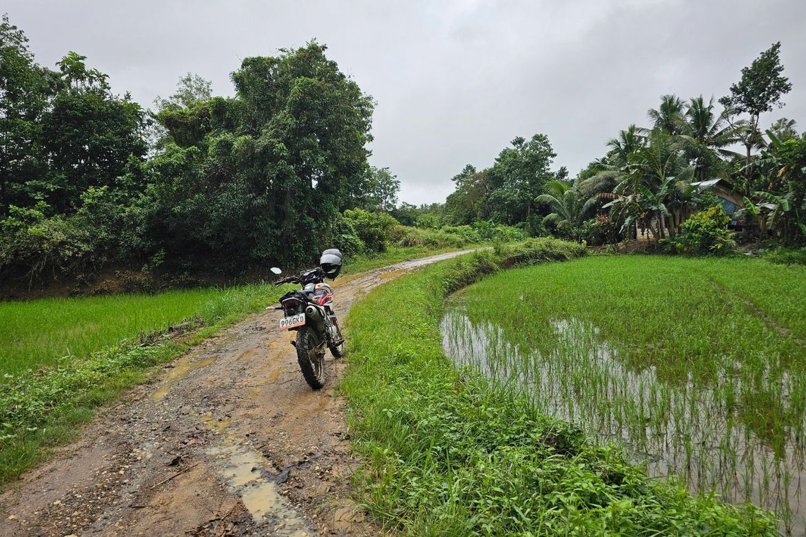 Land for Sale in Cambangay Norte, San Miguel, Bohol