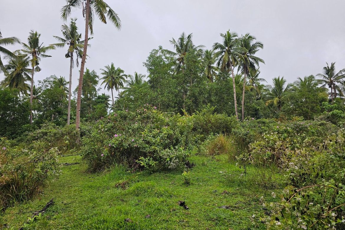 Land for Sale in Cambangay Norte, San Miguel, Bohol – photo 5