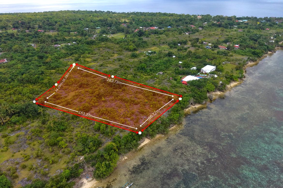 Land for Sale in Cambaquiz, Loon, Bohol – photo 3