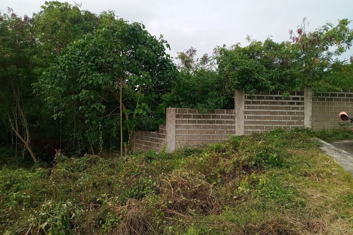 Land for Sale in Cambayog, Compostela, Cebu