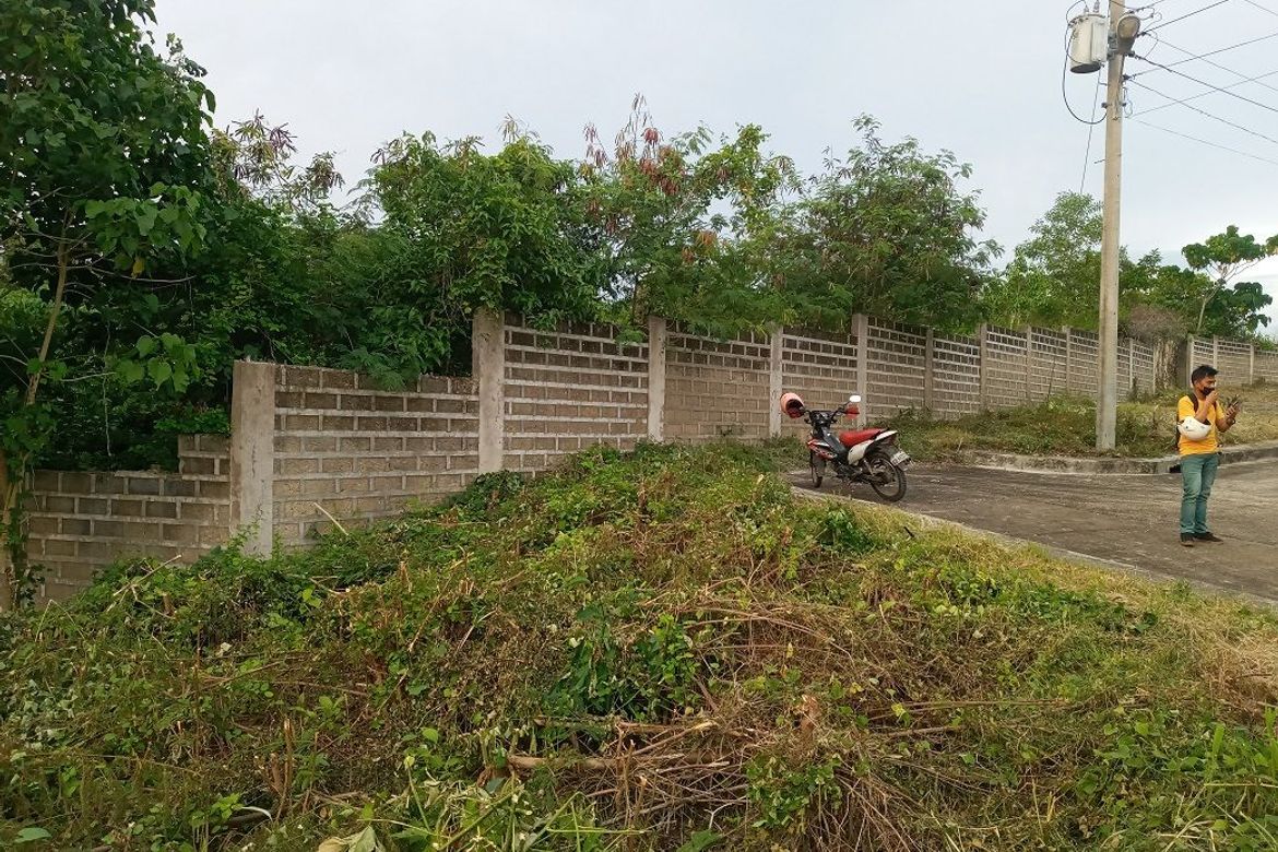 Land for Sale in Cambayog, Compostela, Cebu – photo 2