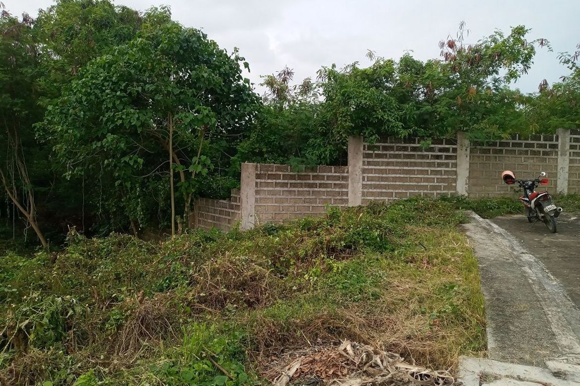 Land for Sale in Cambayog, Compostela, Cebu – photo 3