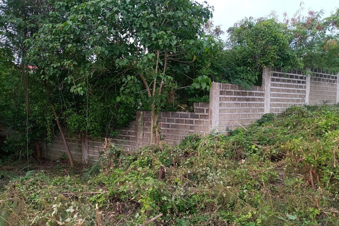 Land for Sale in Cambayog, Compostela, Cebu – photo 6