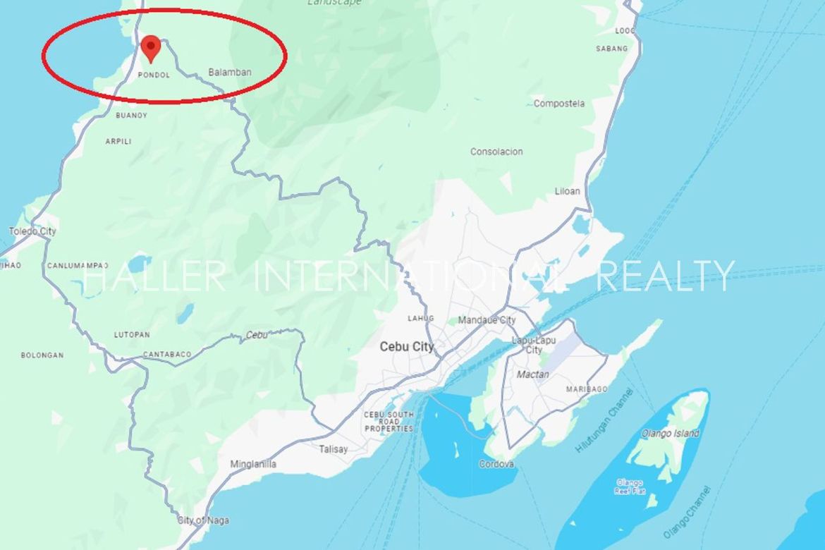 Land for Sale in Cambuhawe, Balamban, Cebu – photo 2