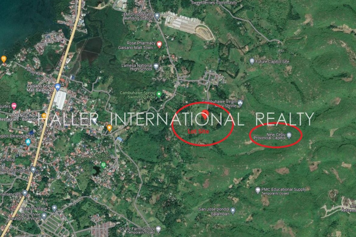 Land for Sale in Cambuhawe, Balamban, Cebu – photo 3