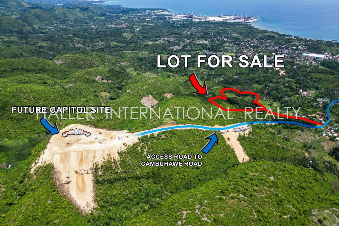 Land for Sale in Cambuhawe, Balamban, Cebu – photo 4