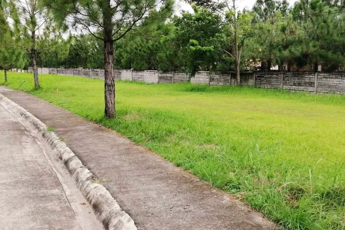 Land for Sale in Camella Bacolod, Mandalagan, Bacolod, Negros Occidental – photo 3