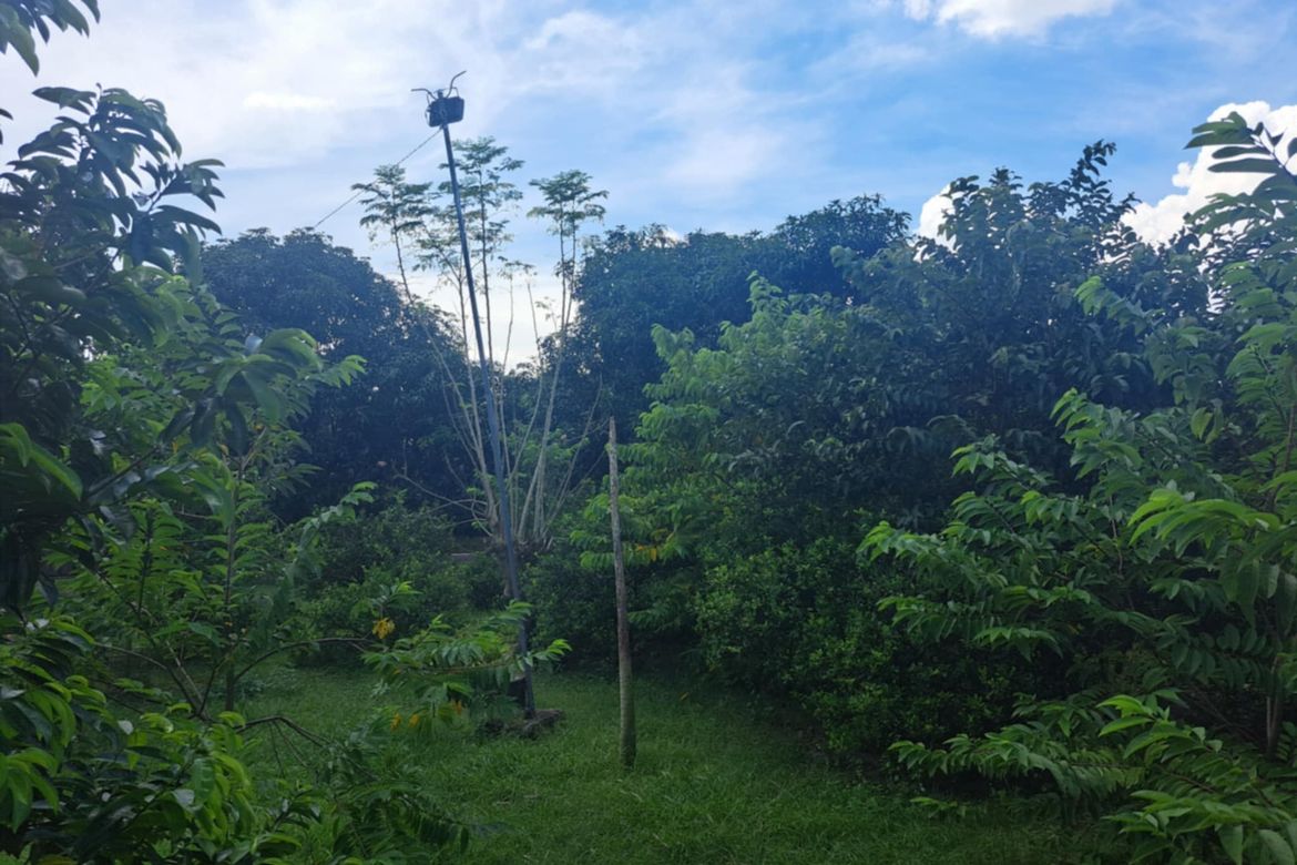 Land for Sale in Camias, Magalang, Pampanga – photo 5