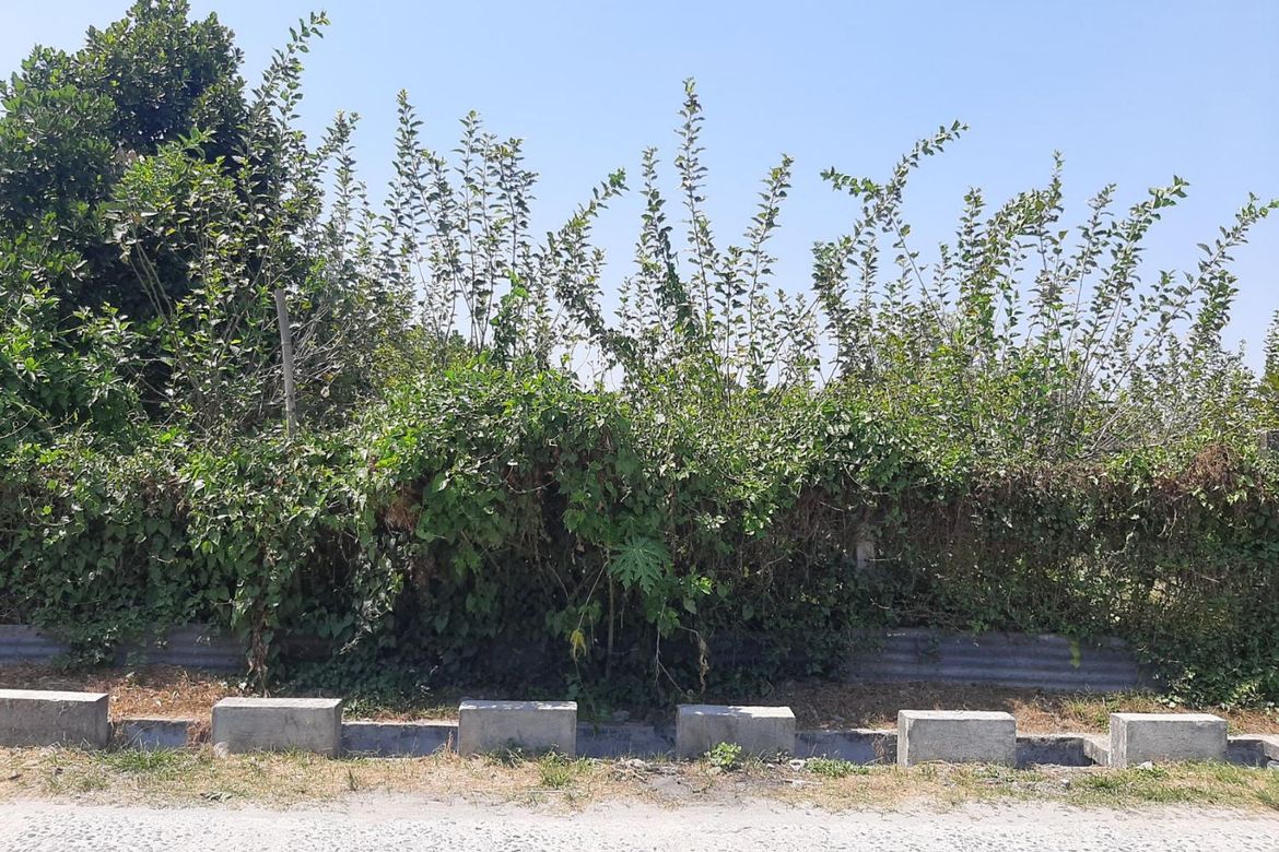 Land for Sale in Camias, Magalang, Pampanga – photo 6