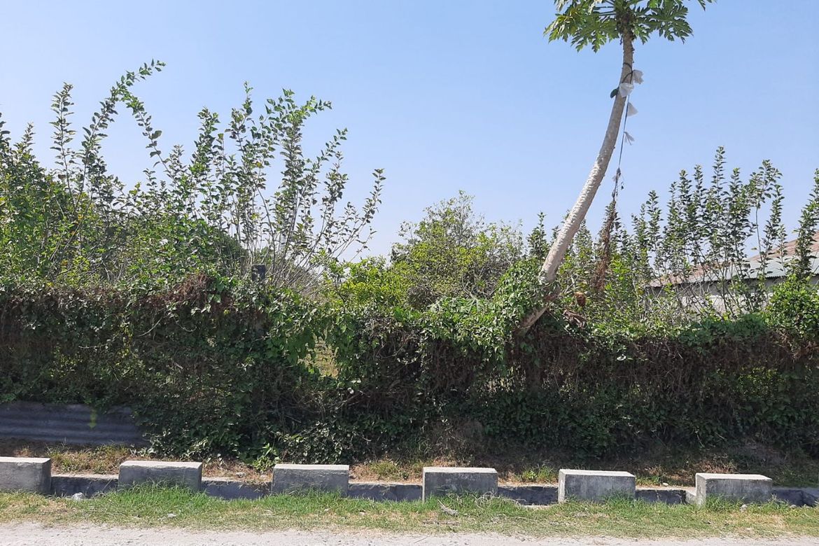 Land for Sale in Camias, Magalang, Pampanga – photo 7